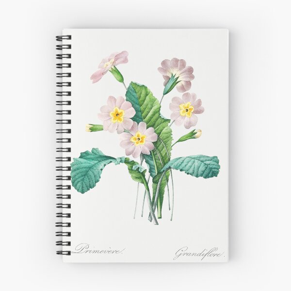 Item preview, Common Primrose Flowers Botanical Illustration designed and sold by TheRetroArtRoom.