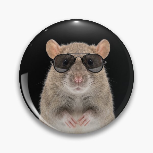 Item preview, Cute Baby Rat Wearing Sunglasses Funny designed and sold by RareLavender.