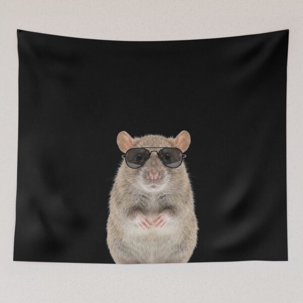 Item preview, Cute Baby Rat Wearing Sunglasses Funny designed and sold by RareLavender.