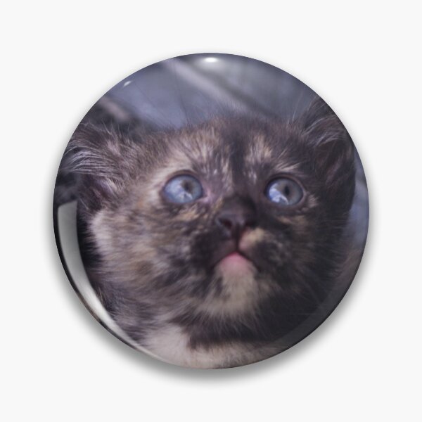 Item preview, Kitty, Look Up designed and sold by ROSE ANN BANILAR.