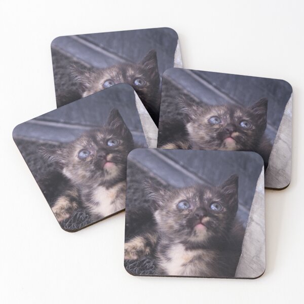 Item preview, Kitty, Look Up designed and sold by ROSE ANN BANILAR.