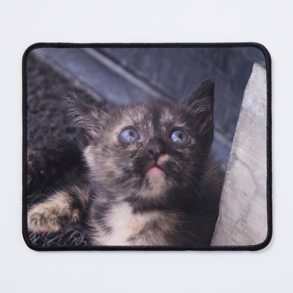 Item preview, Kitty, Look Up designed and sold by ROSE ANN BANILAR.
