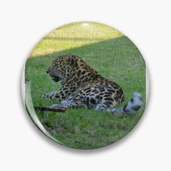 Item preview, Amur Leopard Cub designed and sold by cherrynat1.