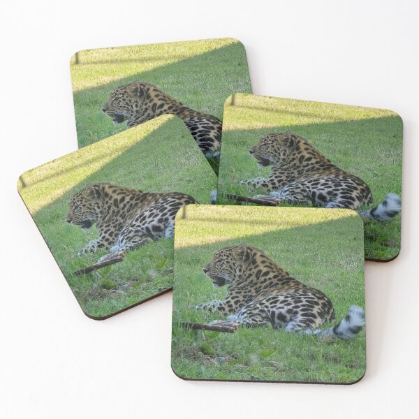 Item preview, Cachorro de leopardo de Amur designed and sold by cherrynat1.