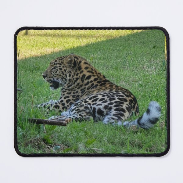 Item preview, Amur Leopard Cub designed and sold by cherrynat1.
