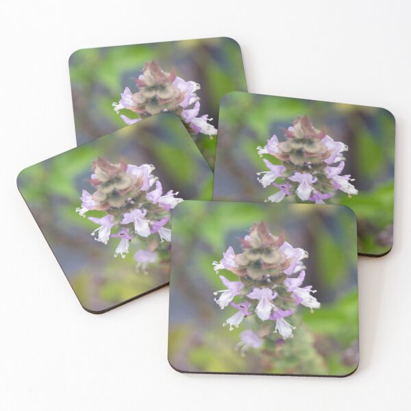 Item preview, Basil Plant designed and sold by ROSE ANN BANILAR.