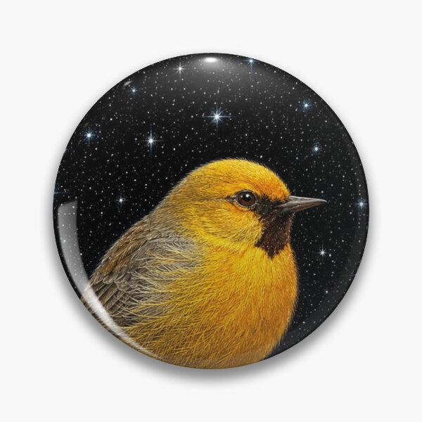 Item preview, Shooting star is what you are designed and sold by Carla Osinski.