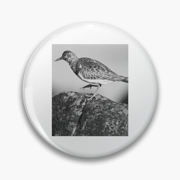 Item preview, Ruddy Turnstone On Coastal Rock designed and sold by risagradyi.