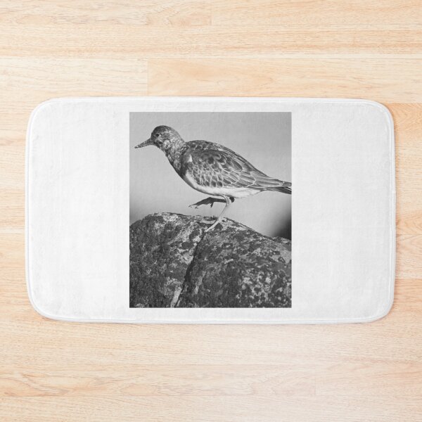 Item preview, Ruddy Turnstone On Coastal Rock designed and sold by risagradyi.