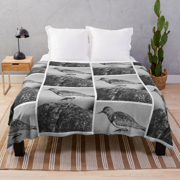 Item preview, Ruddy Turnstone On Coastal Rock designed and sold by risagradyi.