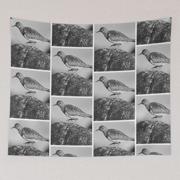 Item preview, Ruddy Turnstone On Coastal Rock designed and sold by risagradyi.