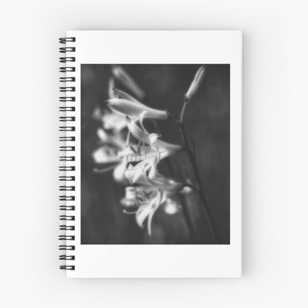 Item preview, Elegant Lily Blooms On Dark designed and sold by risagradyi.