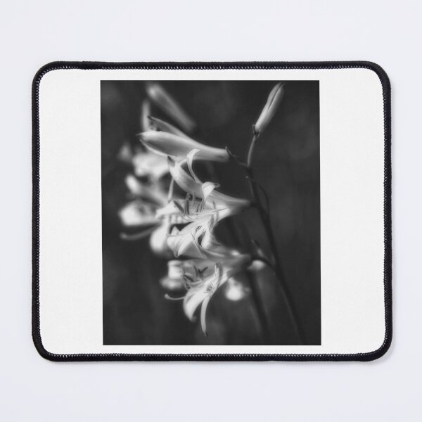 Item preview, Elegant Lily Blooms On Dark designed and sold by risagradyi.