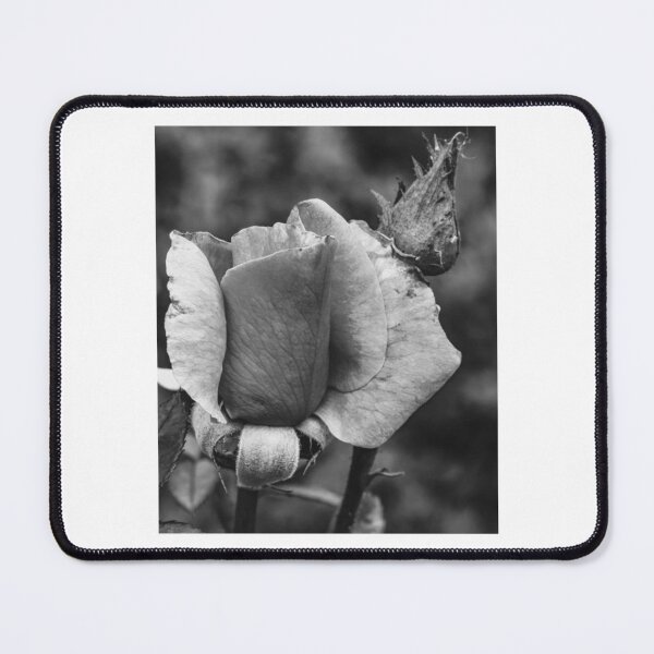 Item preview, Withered Rose Bud designed and sold by risagradyi.