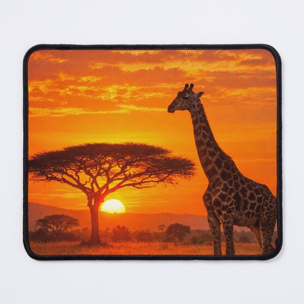 Item preview, GIRAFFE AT SUNSET BEFORE LEAVING KRUGER NATIONAL PARK designed and sold by AussieAl.
