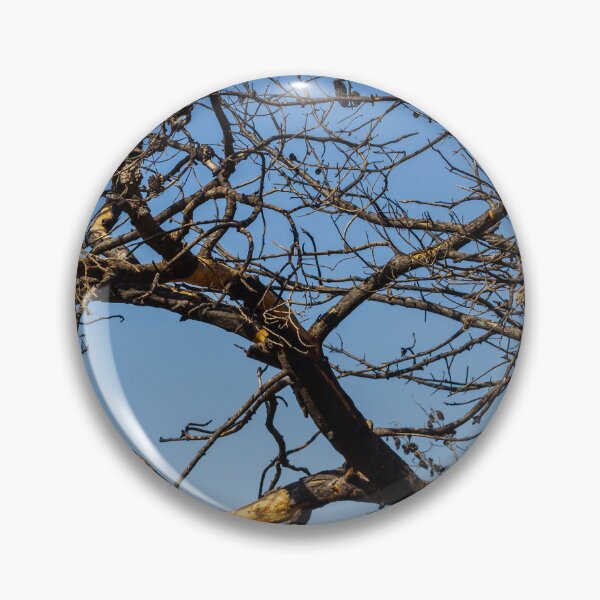 Item preview, Leafless Tree Branches With Pine Cones Against Clear Blue Sky, Winter Dry Texture designed and sold by Nmallia.