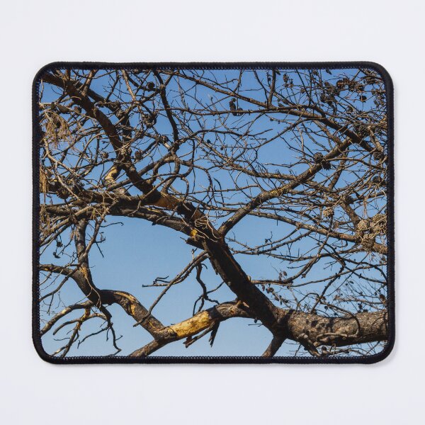 Item preview, Leafless Tree Branches With Pine Cones Against Clear Blue Sky, Winter Dry Texture designed and sold by Nmallia.