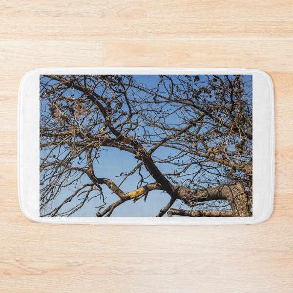 Item preview, Leafless Tree Branches With Pine Cones Against Clear Blue Sky, Winter Dry Texture designed and sold by Nmallia.