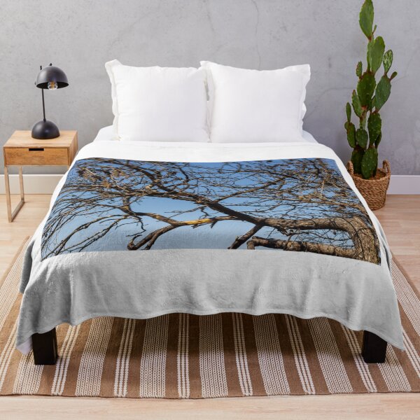 Item preview, Leafless Tree Branches With Pine Cones Against Clear Blue Sky, Winter Dry Texture designed and sold by Nmallia.