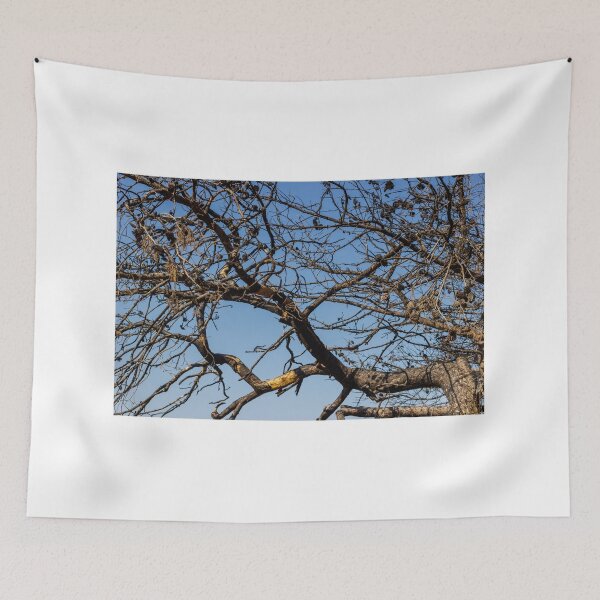 Item preview, Leafless Tree Branches With Pine Cones Against Clear Blue Sky, Winter Dry Texture designed and sold by Nmallia.