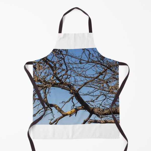 Item preview, Leafless Tree Branches With Pine Cones Against Clear Blue Sky, Winter Dry Texture designed and sold by Nmallia.