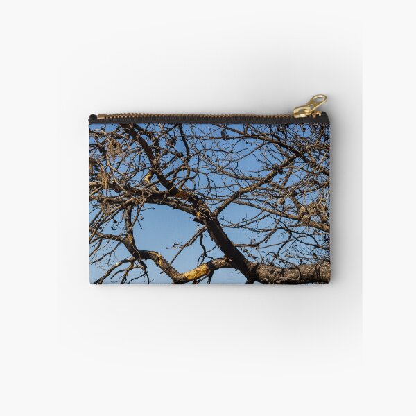Item preview, Leafless Tree Branches With Pine Cones Against Clear Blue Sky, Winter Dry Texture designed and sold by Nmallia.