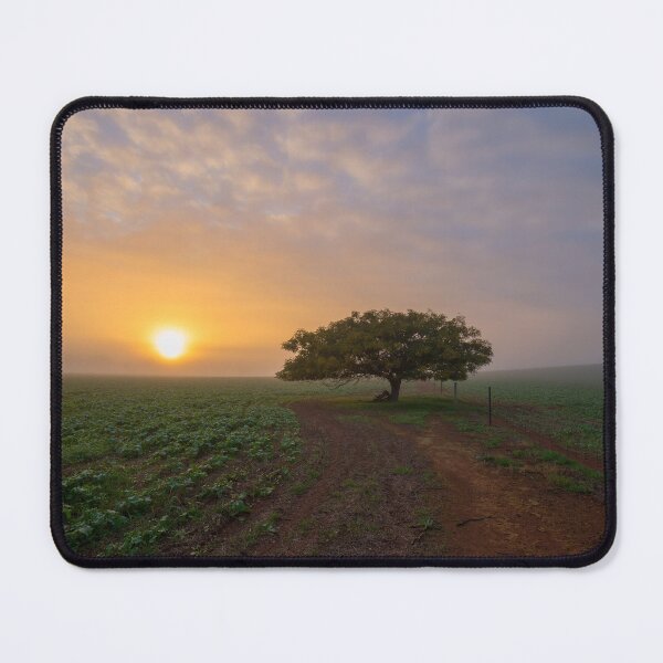 Item preview, Sunrise in fog.. designed and sold by mitpjenkeating.