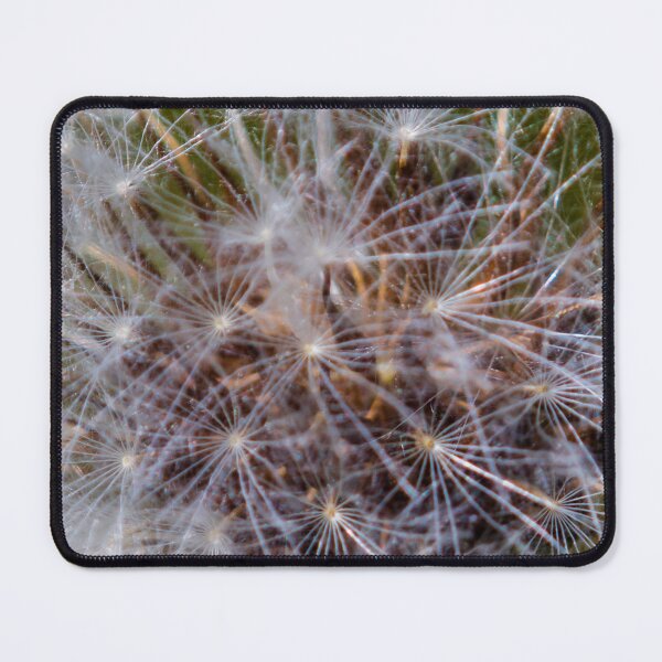 Item preview, Delicate Dandelion Seed Head Macro Close-Up Showing White Fluff and Fine Seed Filaments designed and sold by Nmallia.