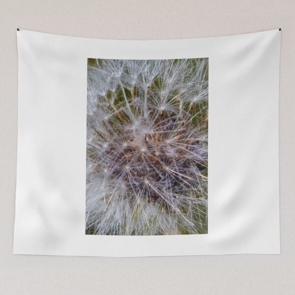 Item preview, Delicate Dandelion Seed Head Macro Close-Up Showing White Fluff and Fine Seed Filaments designed and sold by Nmallia.