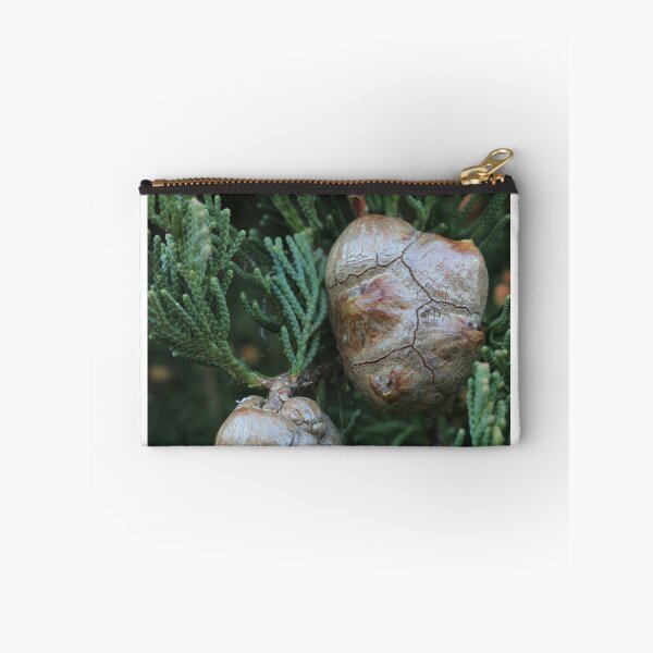 Item preview, Pine seeds designed and sold by misstk.