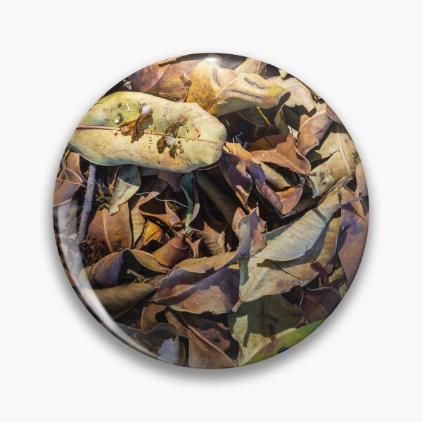 Item preview, Dry Fallen Leaves on Forest Floor Texture With Single Green Leaf and Twigs in Autumn Light designed and sold by Nmallia.
