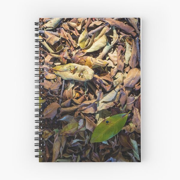 Item preview, Dry Fallen Leaves on Forest Floor Texture With Single Green Leaf and Twigs in Autumn Light designed and sold by Nmallia.