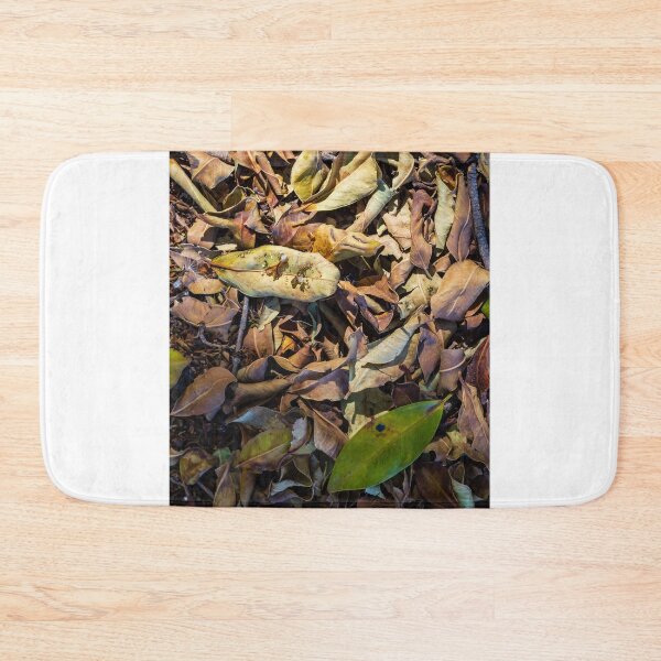 Item preview, Dry Fallen Leaves on Forest Floor Texture With Single Green Leaf and Twigs in Autumn Light designed and sold by Nmallia.