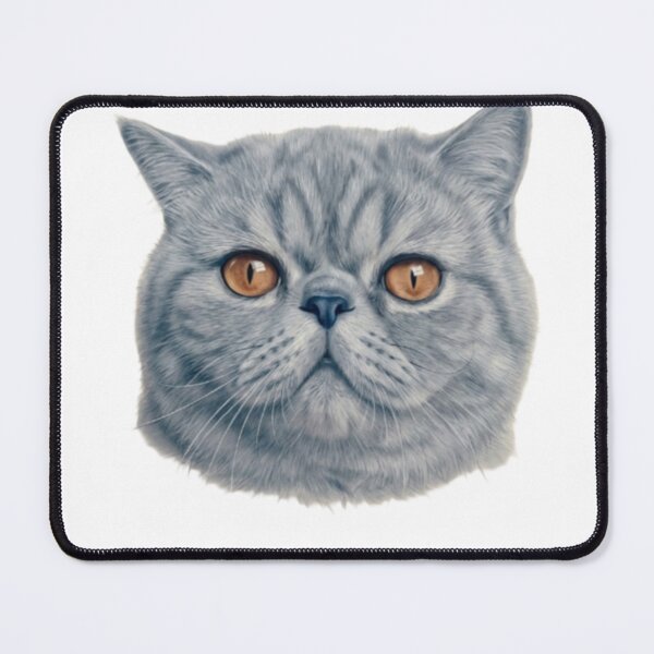 Item preview, Realistic Grey Exotic Shorthair Cat Digital Art designed and sold by Artgirldhanya.