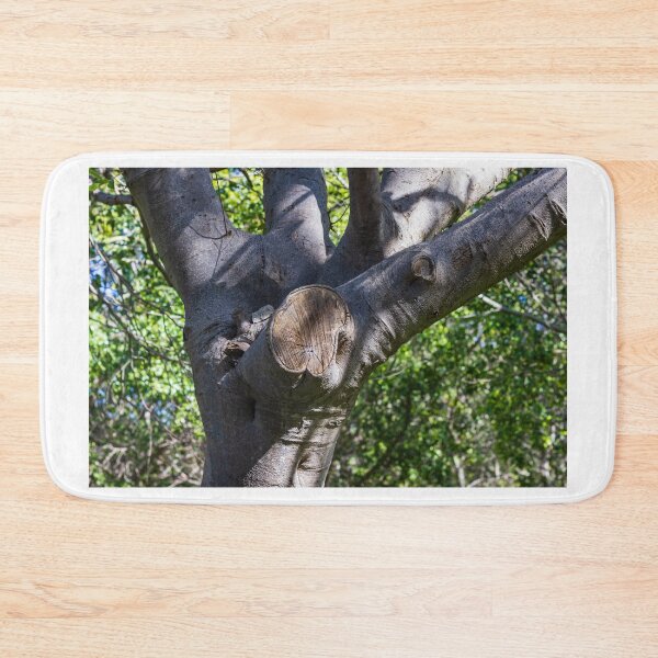Item preview, Tree Trunk With Pruned Branch Scar in Sunlit Forest Showing Bark Texture and Growth Rings designed and sold by Nmallia.