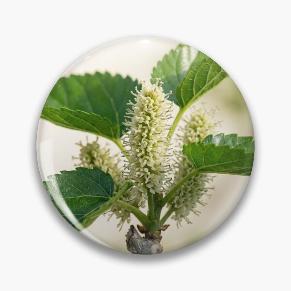 Item preview, Fresh Mulberry Spring Blossoms and Green Leaves designed and sold by Mindful Heritage.