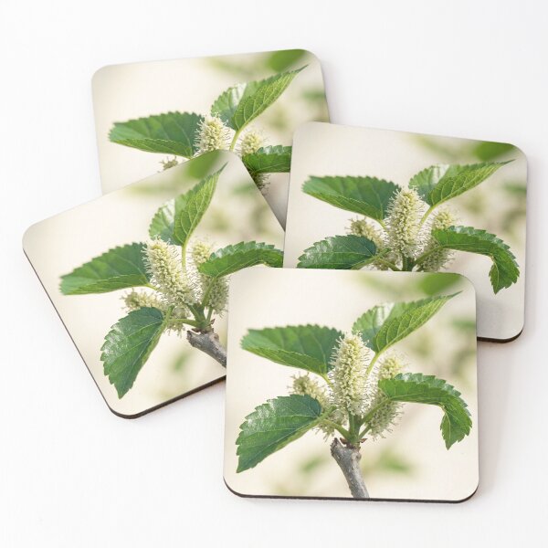 Item preview, Fresh Mulberry Spring Blossoms and Green Leaves designed and sold by Mindful Heritage.
