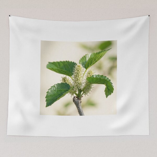 Item preview, Fresh Mulberry Spring Blossoms and Green Leaves designed and sold by Mindful Heritage.