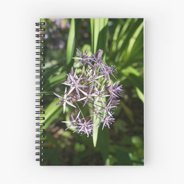 Item preview, Silvery Purple Star Of Persia Allium Blossoms designed and sold by Georgia Mizuleva.
