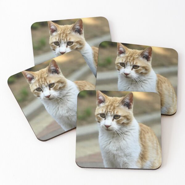 Item preview, Cute Kitten Cream and White Fur Cat  designed and sold by PamLeeDesign.