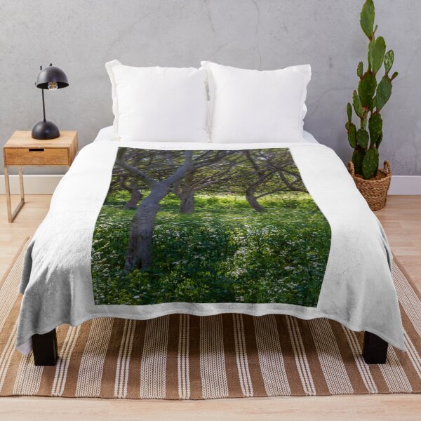 Item preview, Sunlit Woodland With Curved Tree Trunks And Lush Green Understory In Summer Forest designed and sold by Nmallia.