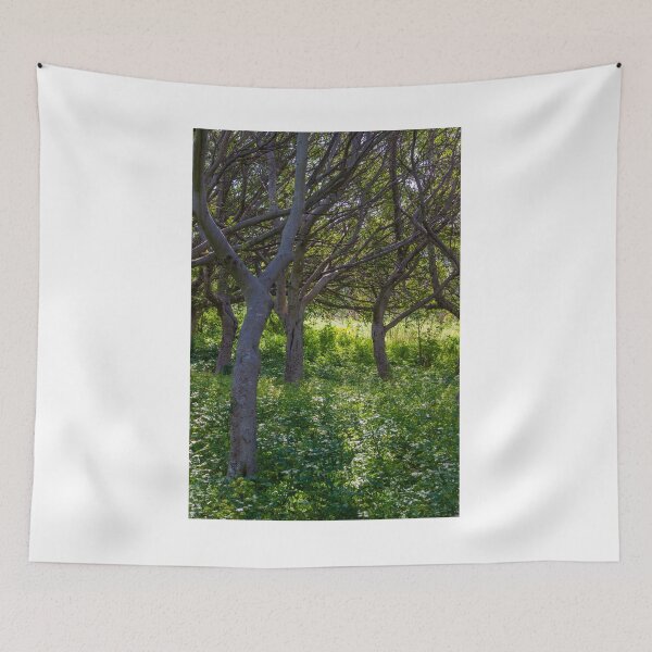 Item preview, Sunlit Woodland With Curved Tree Trunks And Lush Green Understory In Summer Forest designed and sold by Nmallia.