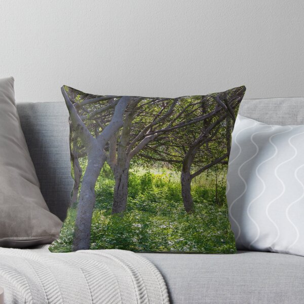 Item preview, Sunlit Woodland With Curved Tree Trunks And Lush Green Understory In Summer Forest designed and sold by Nmallia.