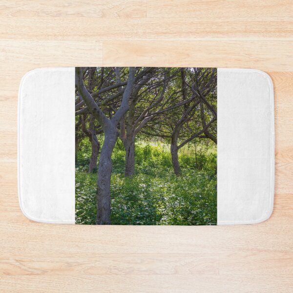 Item preview, Sunlit Woodland With Curved Tree Trunks And Lush Green Understory In Summer Forest designed and sold by Nmallia.