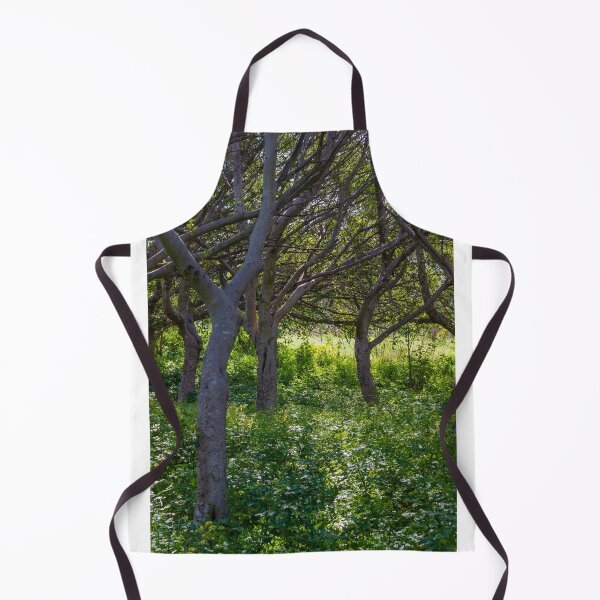 Item preview, Sunlit Woodland With Curved Tree Trunks And Lush Green Understory In Summer Forest designed and sold by Nmallia.