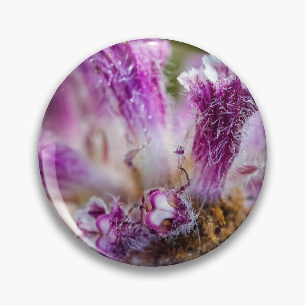 Item preview, Macro Close-Up Of Purple Fuzzy Flower Petals Showing Texture, Pollen And Botanical Detail designed and sold by Nmallia.