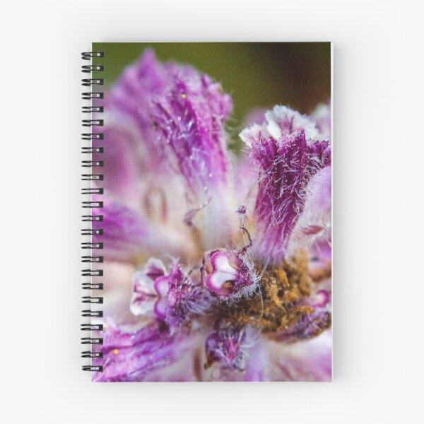 Item preview, Macro Close-Up Of Purple Fuzzy Flower Petals Showing Texture, Pollen And Botanical Detail designed and sold by Nmallia.