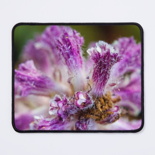 Item preview, Macro Close-Up Of Purple Fuzzy Flower Petals Showing Texture, Pollen And Botanical Detail designed and sold by Nmallia.
