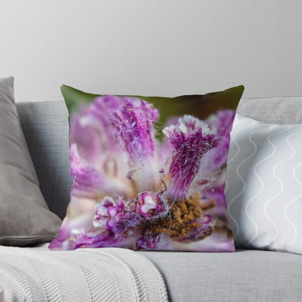 Item preview, Macro Close-Up Of Purple Fuzzy Flower Petals Showing Texture, Pollen And Botanical Detail designed and sold by Nmallia.