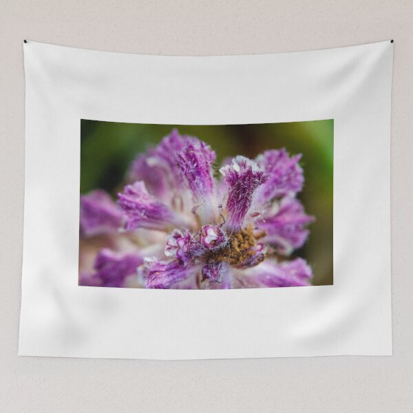 Item preview, Macro Close-Up Of Purple Fuzzy Flower Petals Showing Texture, Pollen And Botanical Detail designed and sold by Nmallia.